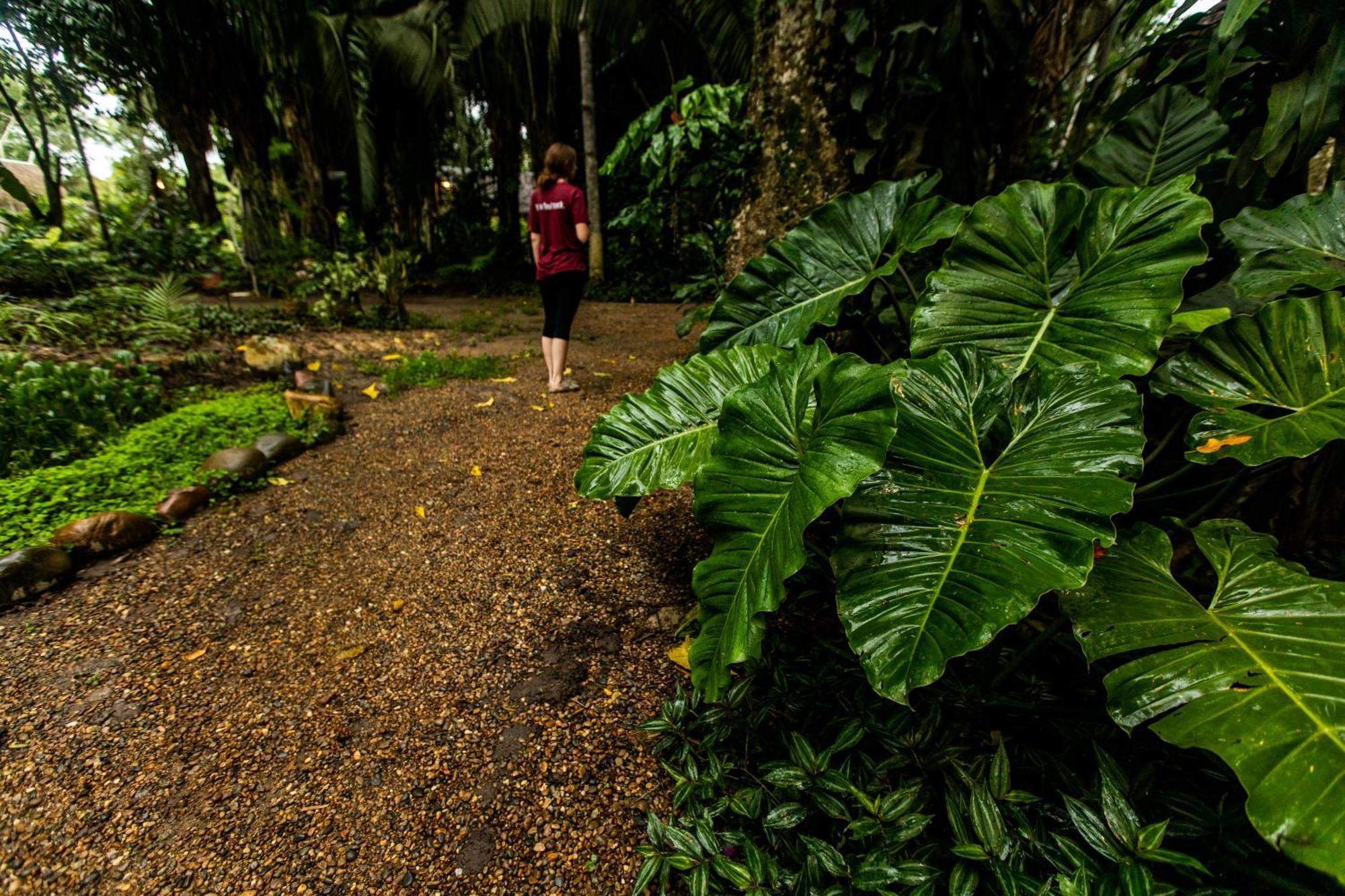 Kapievi Ecovillage 马尔多纳多港 外观 照片