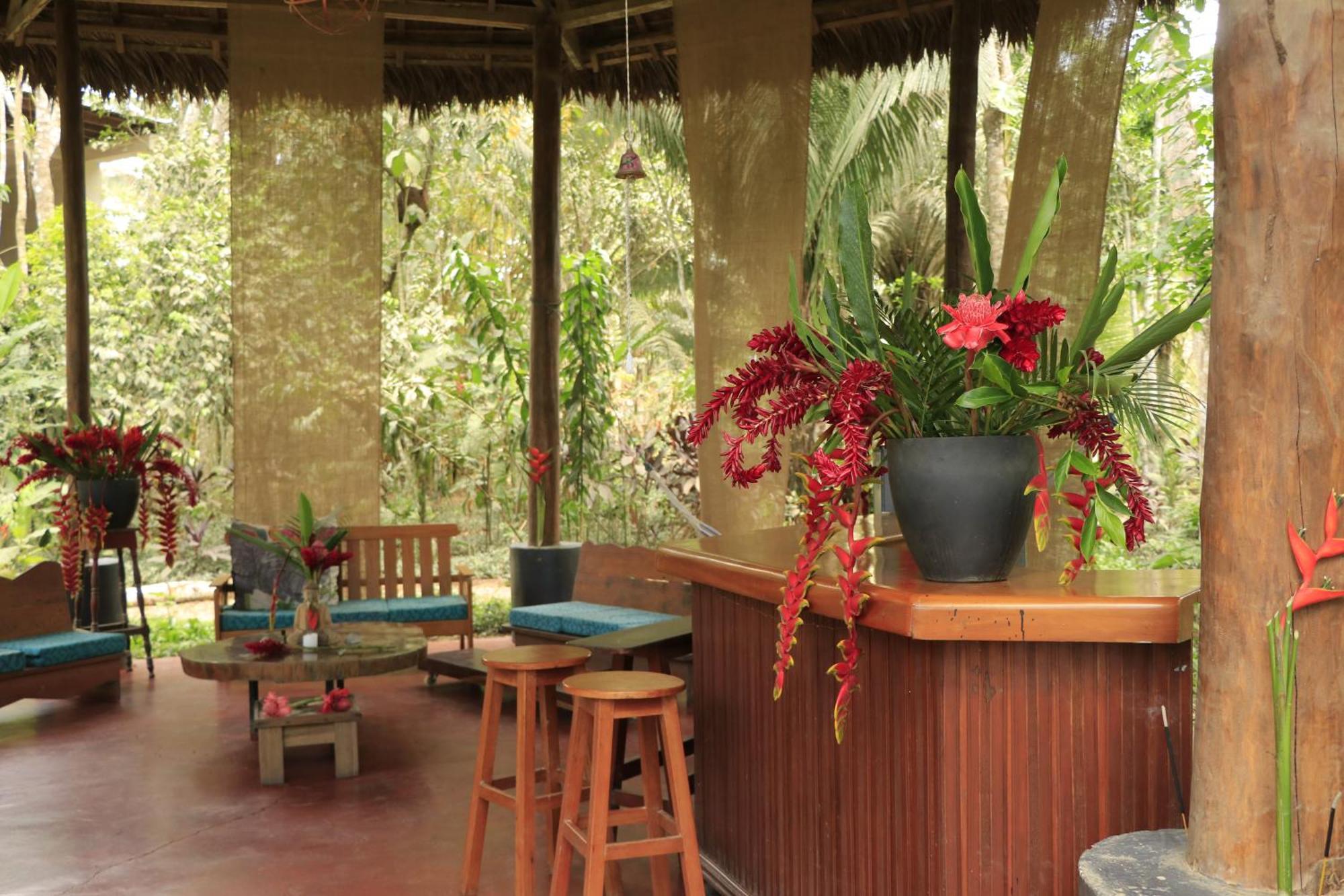 Kapievi Ecovillage 马尔多纳多港 外观 照片