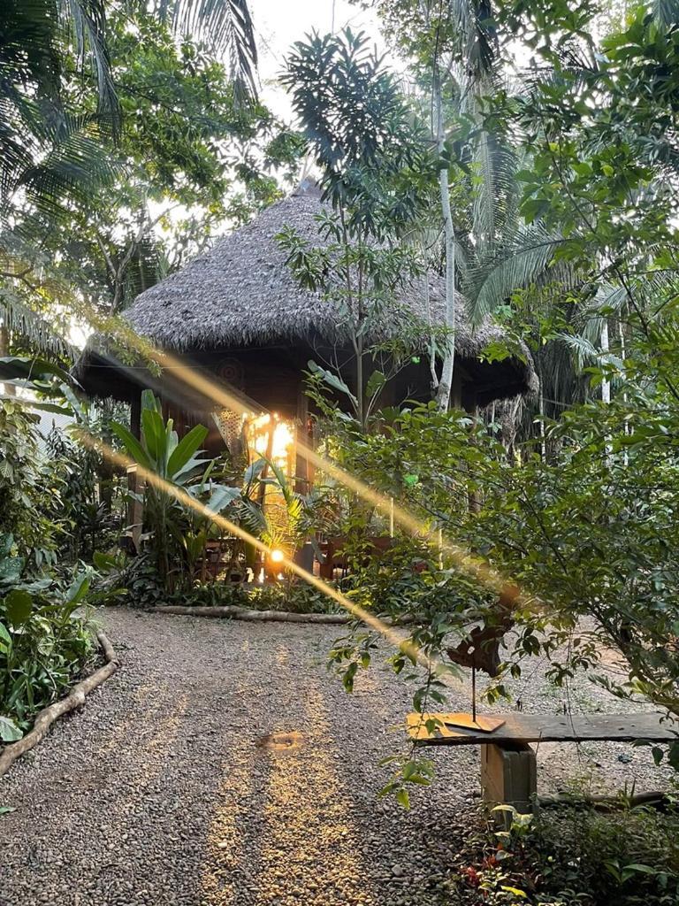 Kapievi Ecovillage 马尔多纳多港 外观 照片