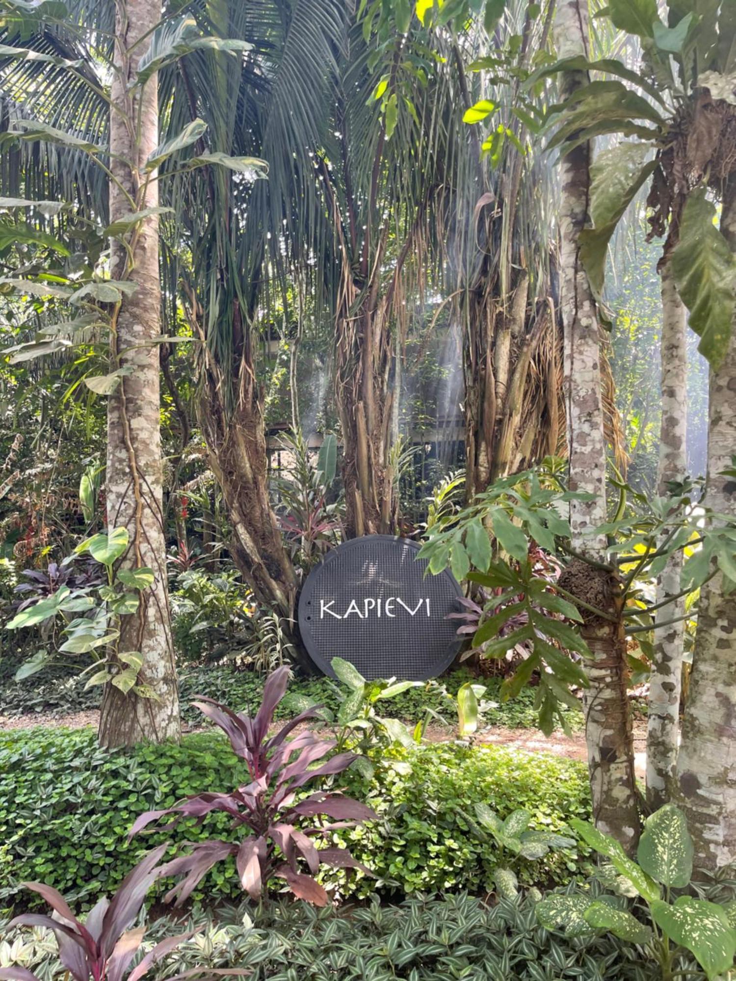 Kapievi Ecovillage 马尔多纳多港 外观 照片