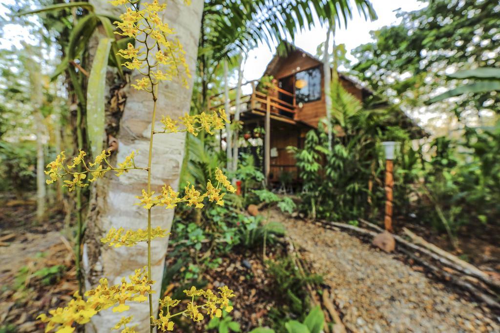 Kapievi Ecovillage 马尔多纳多港 外观 照片